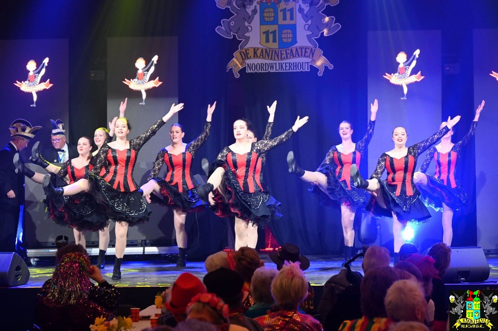 ../Images/Seniorencarnaval 2026 066.jpg